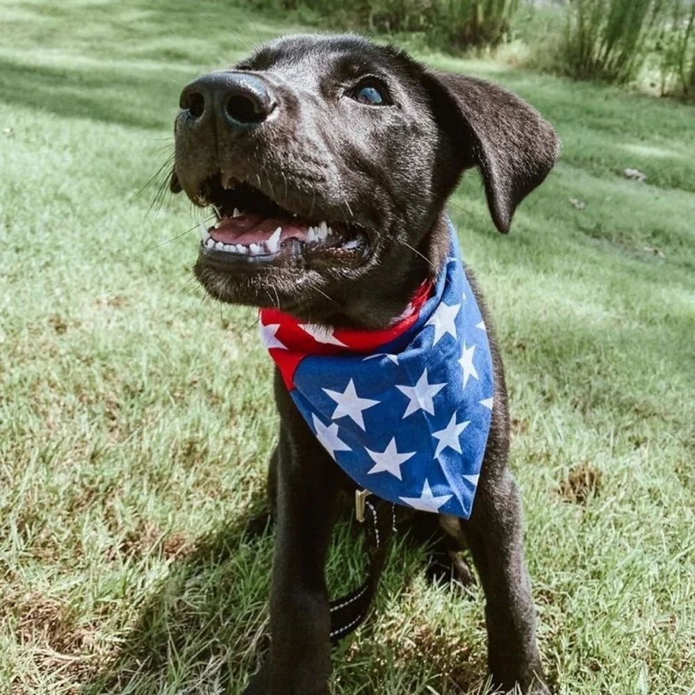 American Flag Red White and Blue Bandana for Pets